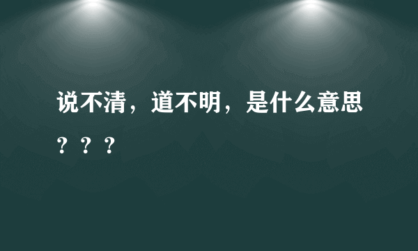 说不清，道不明，是什么意思？？？