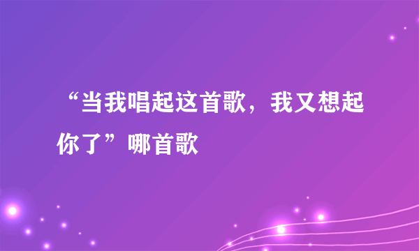 “当我唱起这首歌，我又想起你了”哪首歌