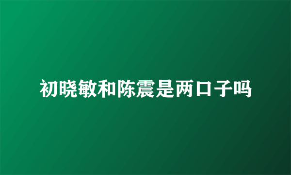 初晓敏和陈震是两口子吗