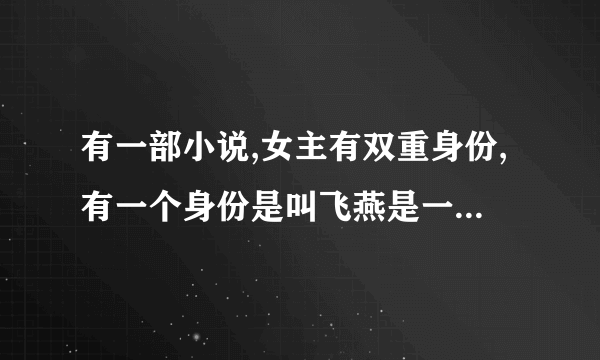 有一部小说,女主有双重身份,有一个身份是叫飞燕是一个小偷，另一个身份是王妃,这部小说叫什么名字？