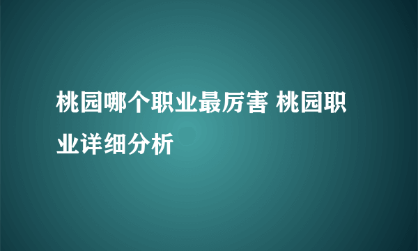 桃园哪个职业最厉害 桃园职业详细分析