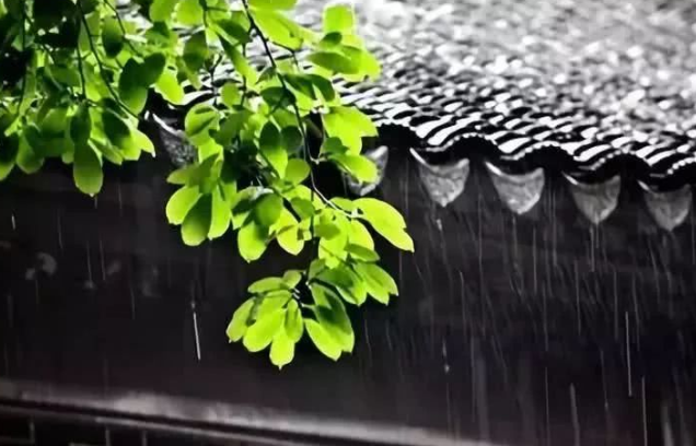 一场秋雨一场寒的下一句是什么？