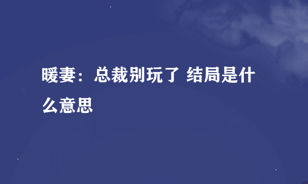 暖妻：总裁别玩了 结局是什么意思