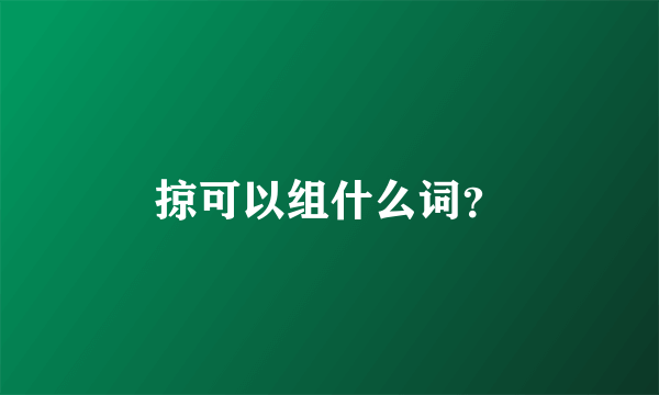 掠可以组什么词？