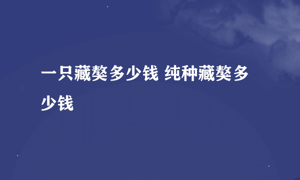 一只藏獒多少钱 纯种藏獒多少钱