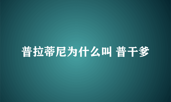 普拉蒂尼为什么叫 普干爹