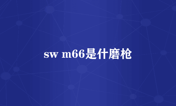 sw m66是什磨枪