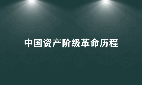 中国资产阶级革命历程