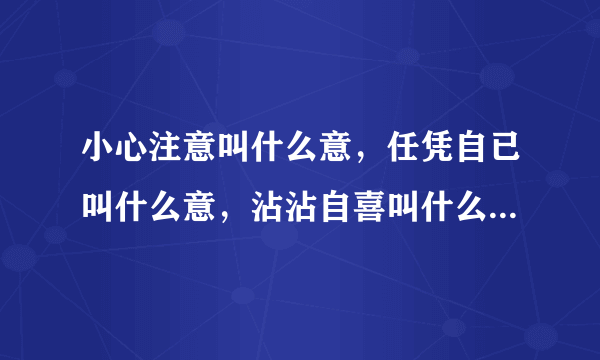 小心注意叫什么意，任凭自已叫什么意，沾沾自喜叫什么意，任意忘为叫什么意，心情爽快叫什么意，心术不正