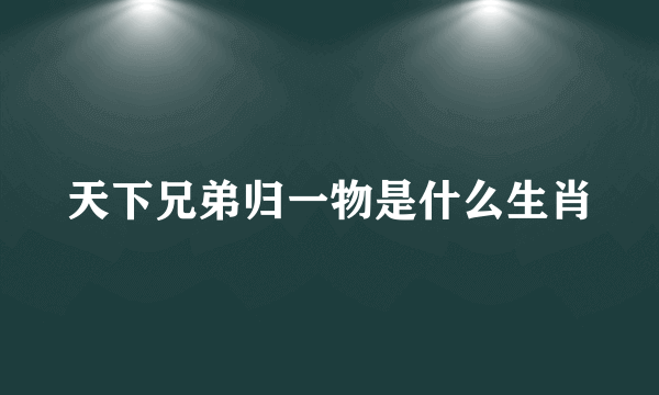 天下兄弟归一物是什么生肖