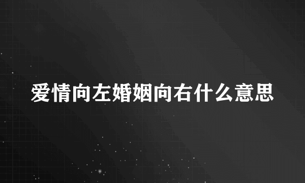 爱情向左婚姻向右什么意思