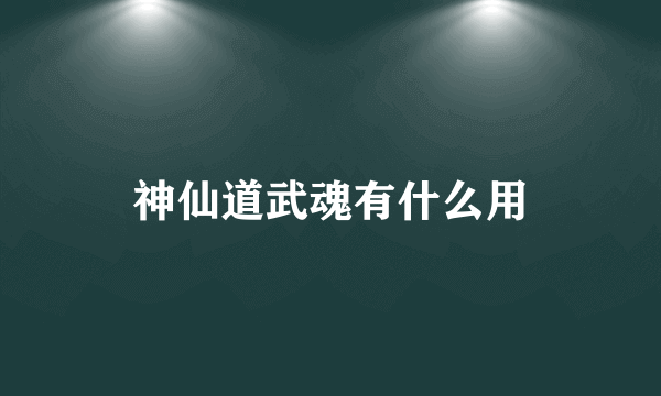 神仙道武魂有什么用