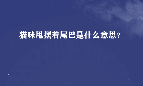 猫咪甩摆着尾巴是什么意思？