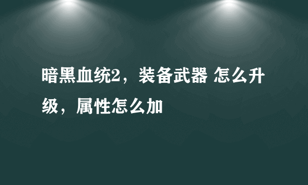 暗黑血统2，装备武器 怎么升级，属性怎么加