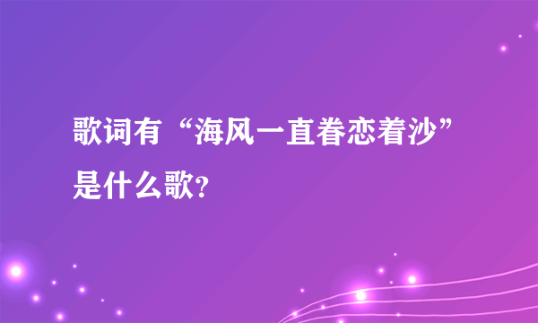 歌词有“海风一直眷恋着沙”是什么歌？