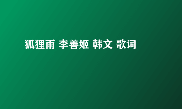 狐狸雨 李善姬 韩文 歌词