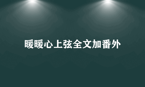 暖暖心上弦全文加番外