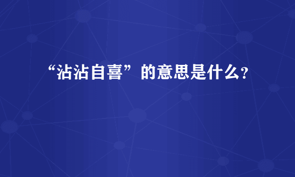 “沾沾自喜”的意思是什么？