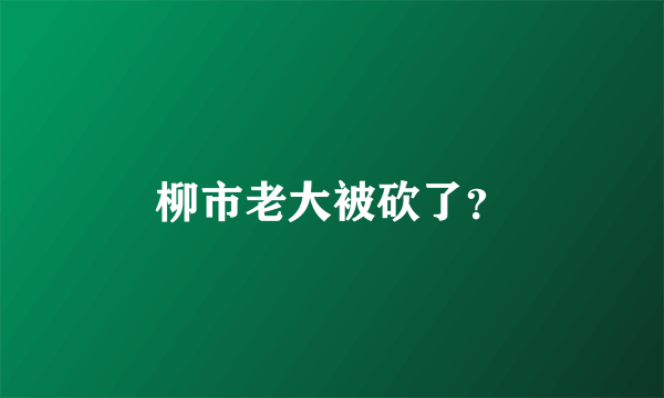 柳市老大被砍了？