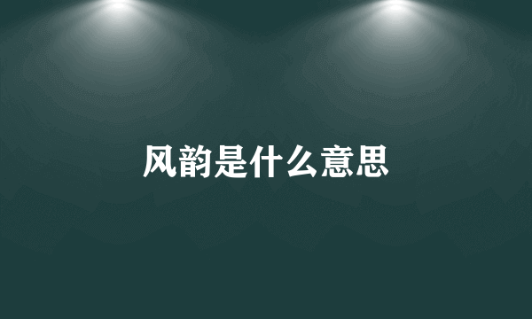 风韵是什么意思