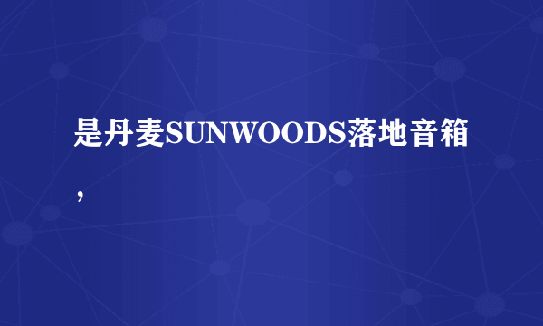 是丹麦SUNWOODS落地音箱，