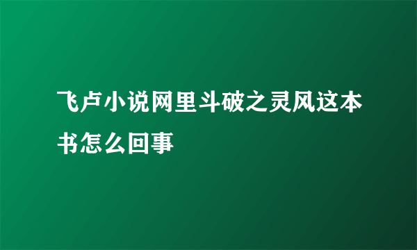 飞卢小说网里斗破之灵风这本书怎么回事