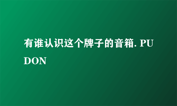 有谁认识这个牌子的音箱. PUDON