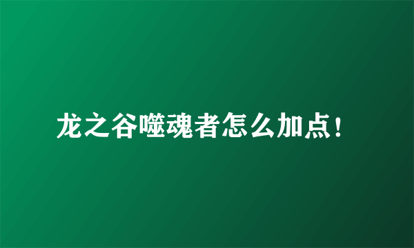 龙之谷噬魂者怎么加点！