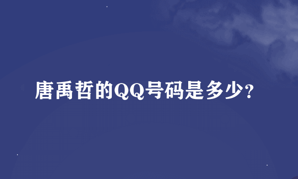 唐禹哲的QQ号码是多少？