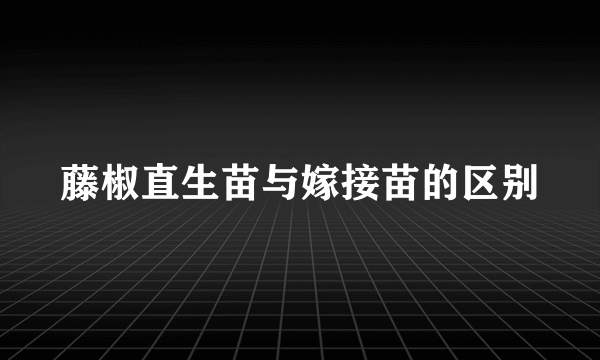 藤椒直生苗与嫁接苗的区别