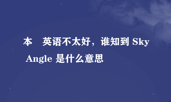 本屌英语不太好，谁知到 Sky Angle 是什么意思