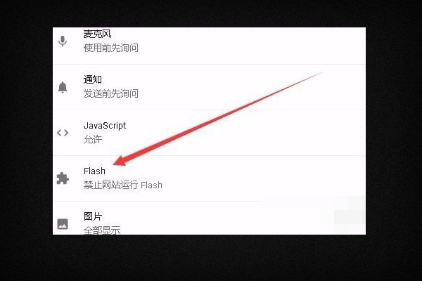 flash player11安装好后无法使用