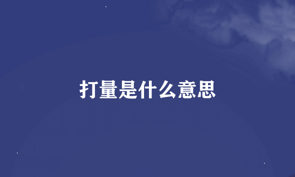 打量是什么意思