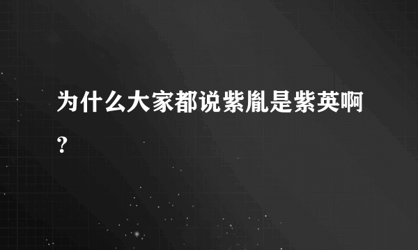 为什么大家都说紫胤是紫英啊？