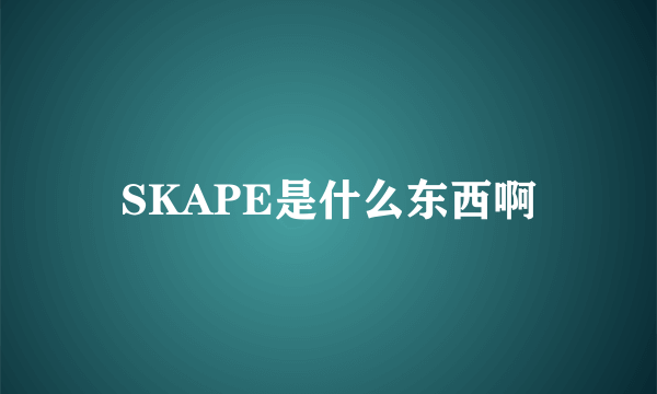 SKAPE是什么东西啊