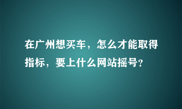 在广州想买车，怎么才能取得指标，要上什么网站摇号？