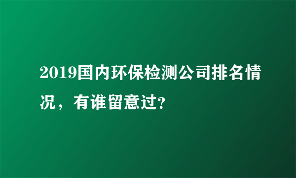 2019国内环保检测公司排名情况，有谁留意过？