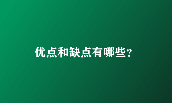 优点和缺点有哪些？