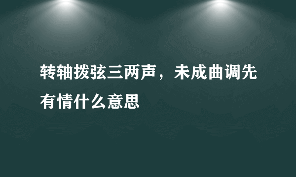 转轴拨弦三两声，未成曲调先有情什么意思