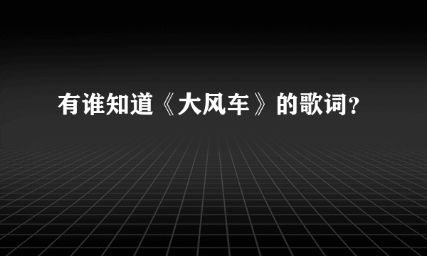 有谁知道《大风车》的歌词？