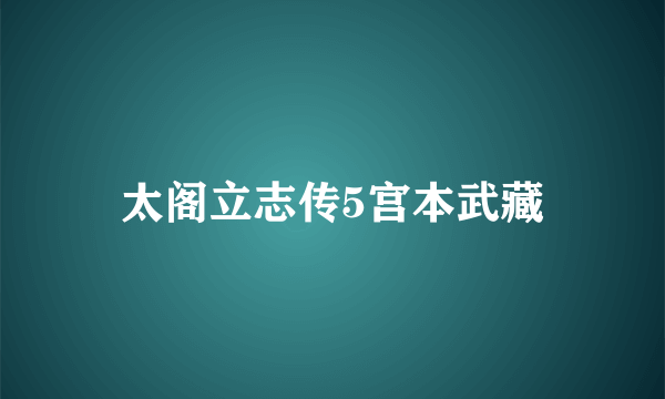 太阁立志传5宫本武藏