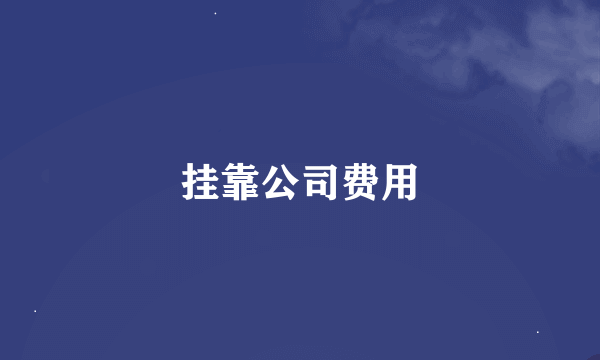 挂靠公司费用