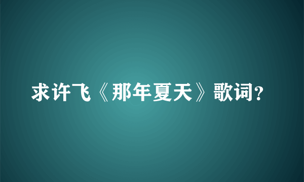 求许飞《那年夏天》歌词？