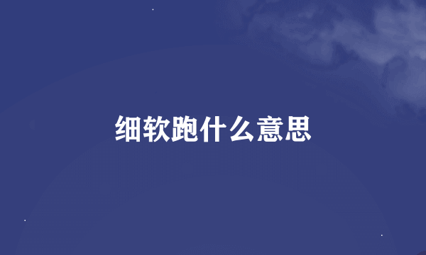 细软跑什么意思