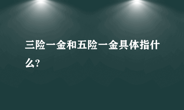 三险一金和五险一金具体指什么?