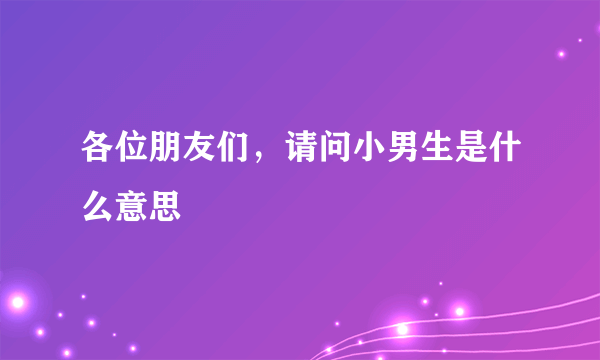 各位朋友们，请问小男生是什么意思