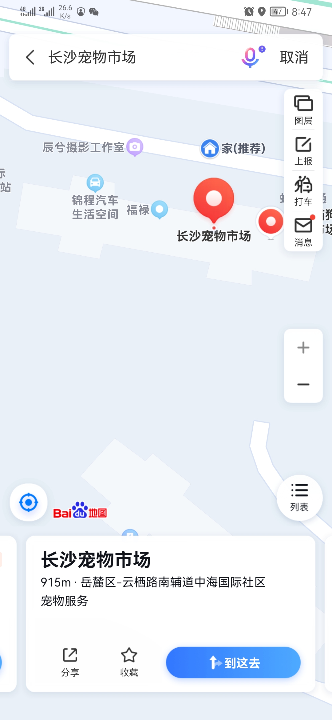 长沙宠物市场有哪些？