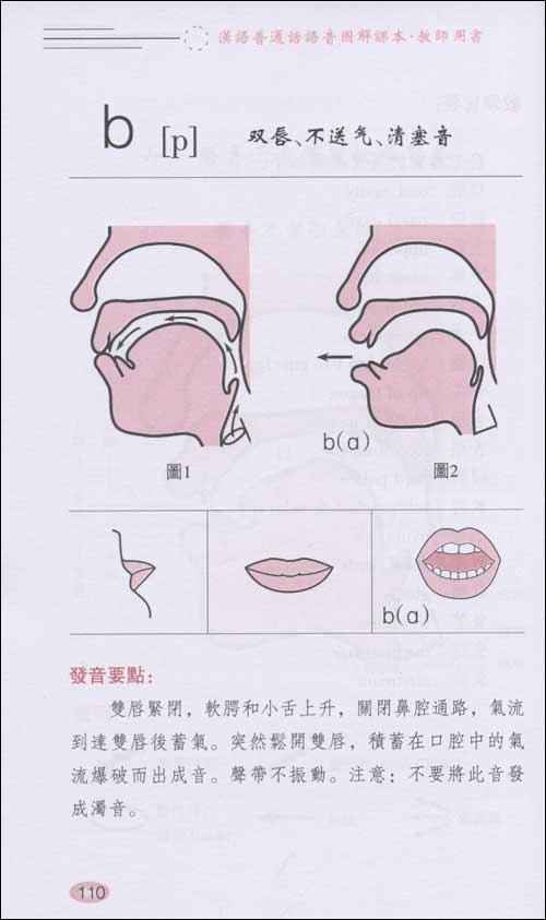 21个声母的发音部位与发音方法