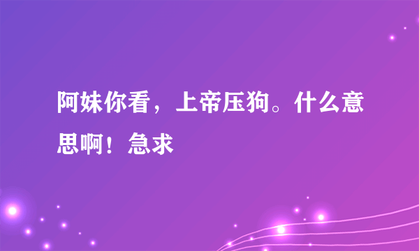 阿妹你看，上帝压狗。什么意思啊！急求