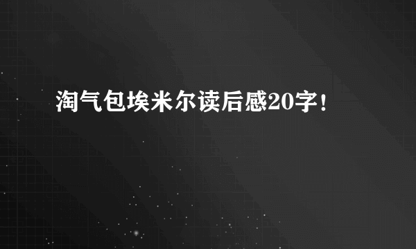 淘气包埃米尔读后感20字！